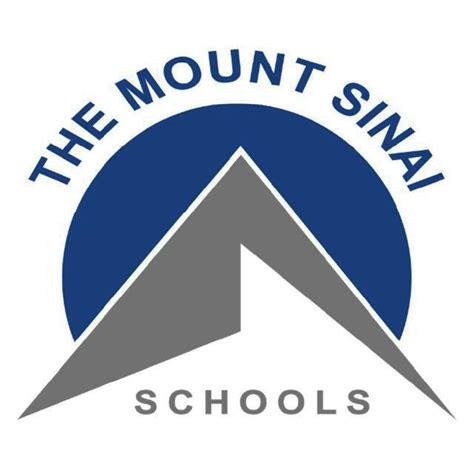 the mount sinai school