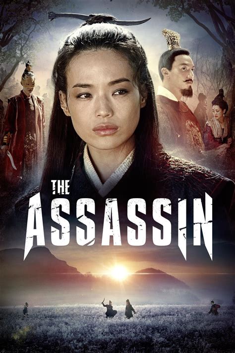 the movie the assassin