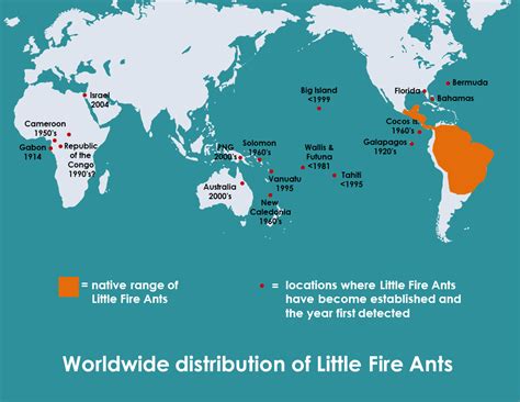 the native range of fire ants is in