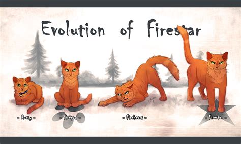 the new a warrior cats life