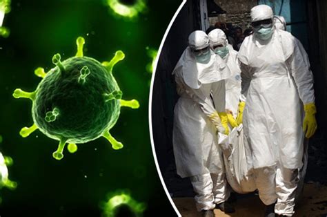 the new virus outbreak