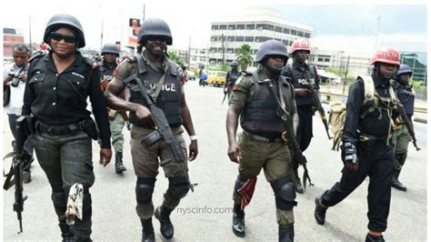 the nigerian police force