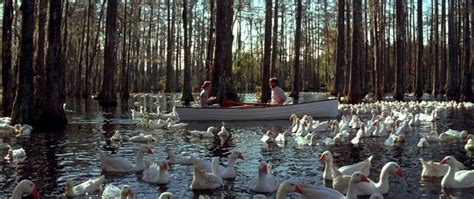 The Notebook Beach Scene