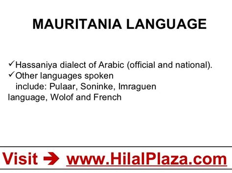 the official language of mauritania