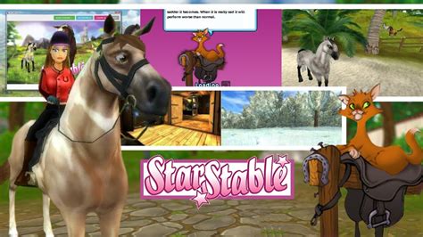 the old star stable