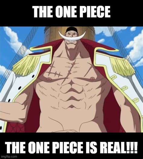 The One Piece Is Real Nsfw Meme