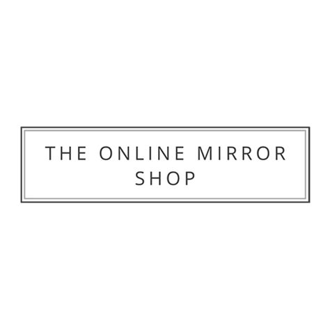 the online mirror company