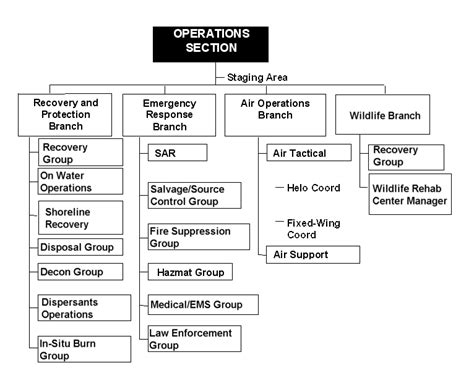 the operations section chief quizlet