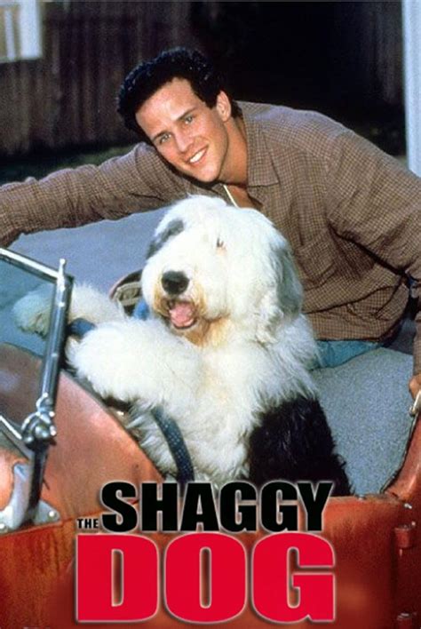 the original shaggy dog movie
