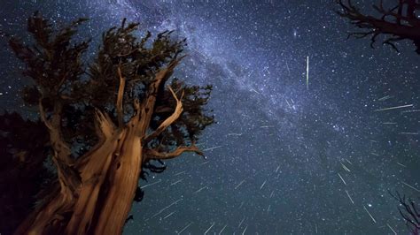 the perseid meteor shower will occur