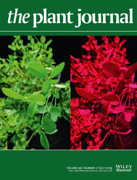 the plant journal letpub
