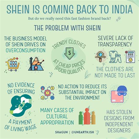 the problem with shein