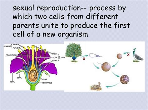 May 2013 Biology Exams 4 U