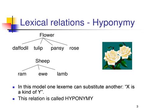 The Process Of Creating One Lexeme From Another Is Called
