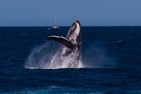 The Range Exmouth Paint