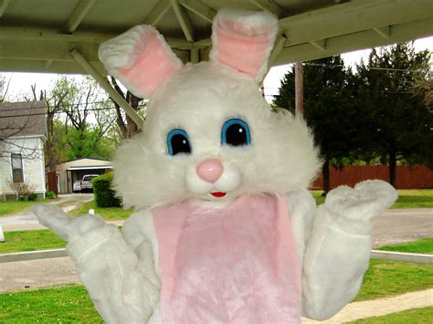 the real easter bunny