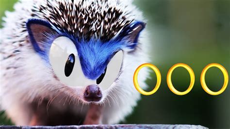 the real sonic the hedgehog
