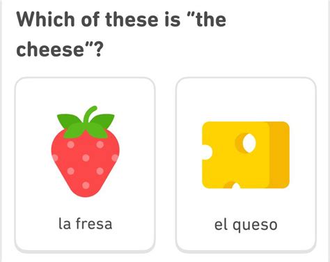 Finished Duolingo Spanish! r/learnspanish