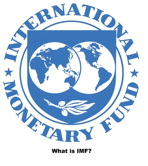 the role of imf in globalization