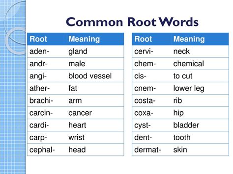 the root fulgur/a refers to