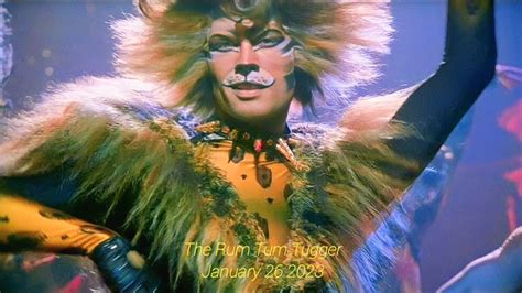 the rum tum tugger cats