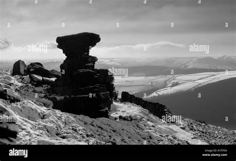 The Salt Cellar Phoenix