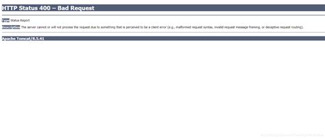 the server cannot or will not process the request