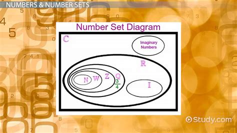 the set of numbers used for counting and zero