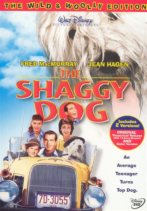 the shaggy dog 1959 dvd