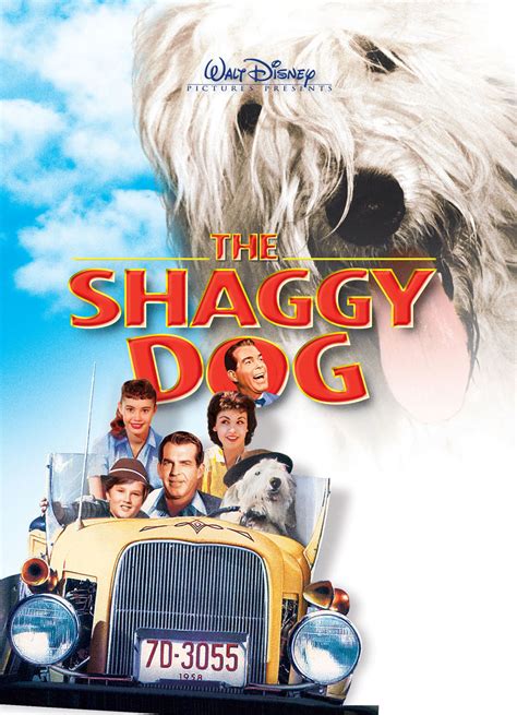 the shaggy dog 1959 dvd cover