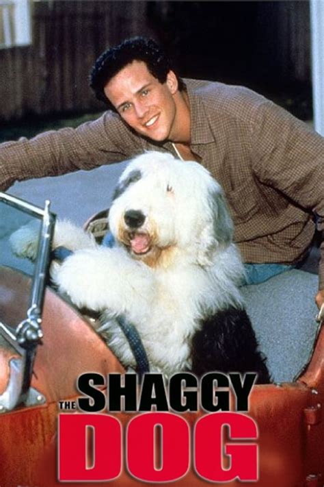 the shaggy dog 1994 film