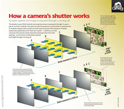 The Shutter Works