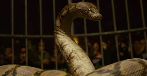 the snake from harry potter