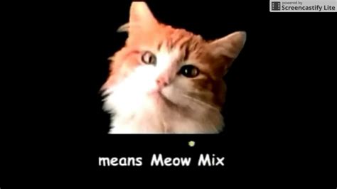 the song meow meow meow