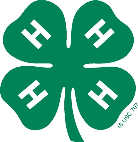 the state of 4-h clubs in america
