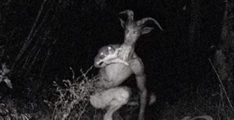 the story about goatman