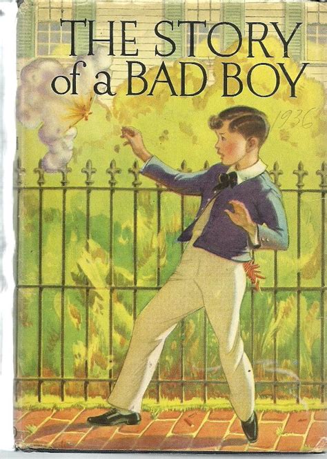 the story of a bad boy book