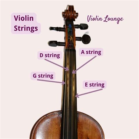 The Strings On A Violin Is Called