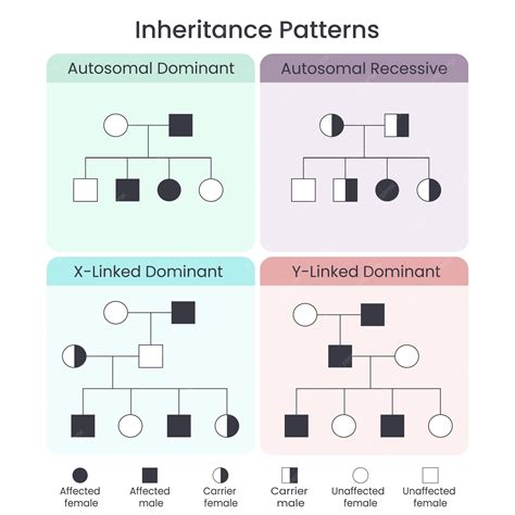 the study of biological inheritance patterns in organisms