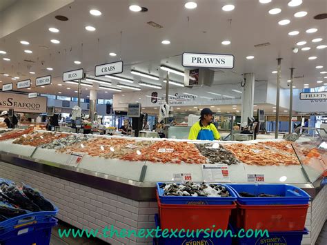 the sydney fish market