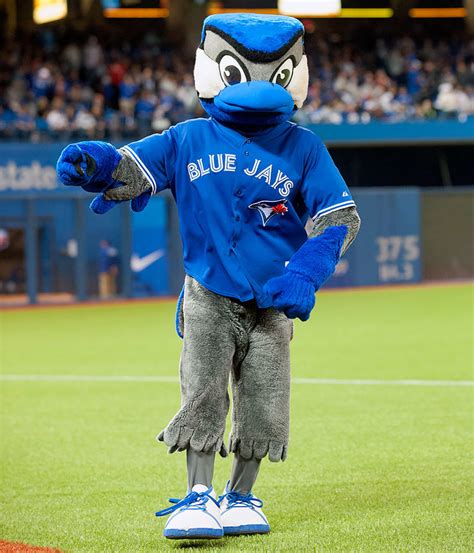 the toronto blue jays mascot