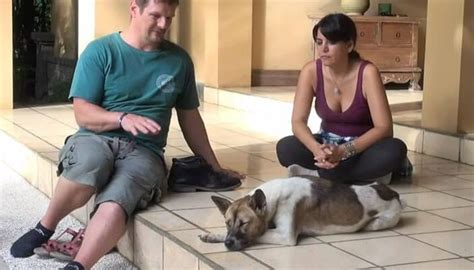 View The Trust Technique For Dogs