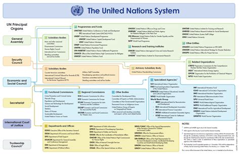 the united nations organisation