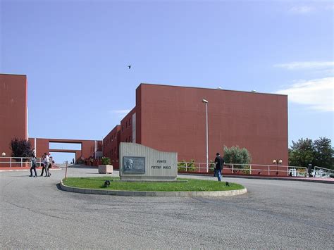 the university of calabria
