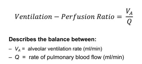 The Ventilation/Perfusion Ratio Quizlet