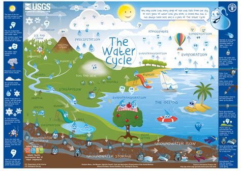 the water cycle 6th grade