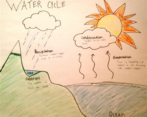 the water cycle drawing