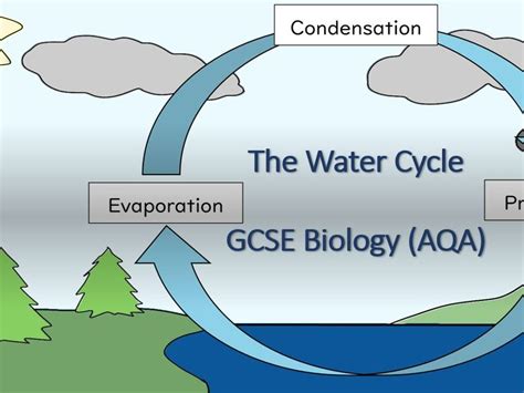 the water cycle gcse diagram