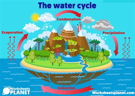 the water cycle kids