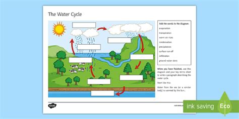 the water cycle ks1